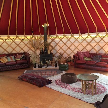 Silver Airstream Glamping & Rental Chichester Kültér fotó