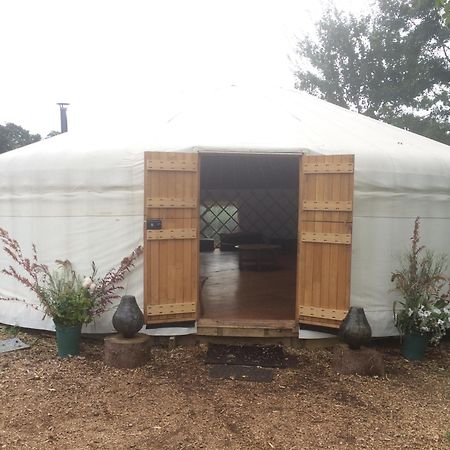 Silver Airstream Glamping & Rental Chichester Kültér fotó
