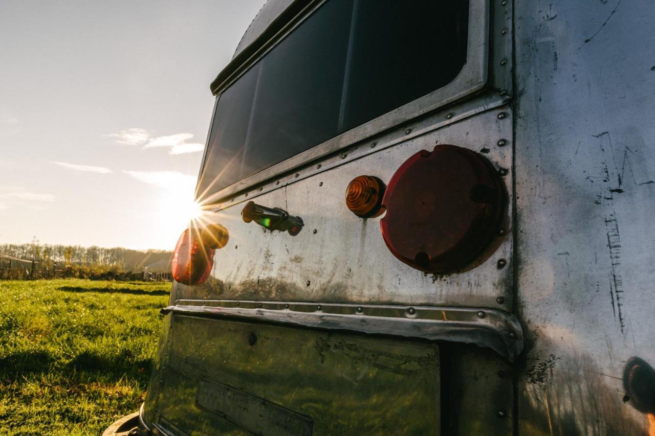 Silver Airstream Glamping & Rental Chichester Kültér fotó