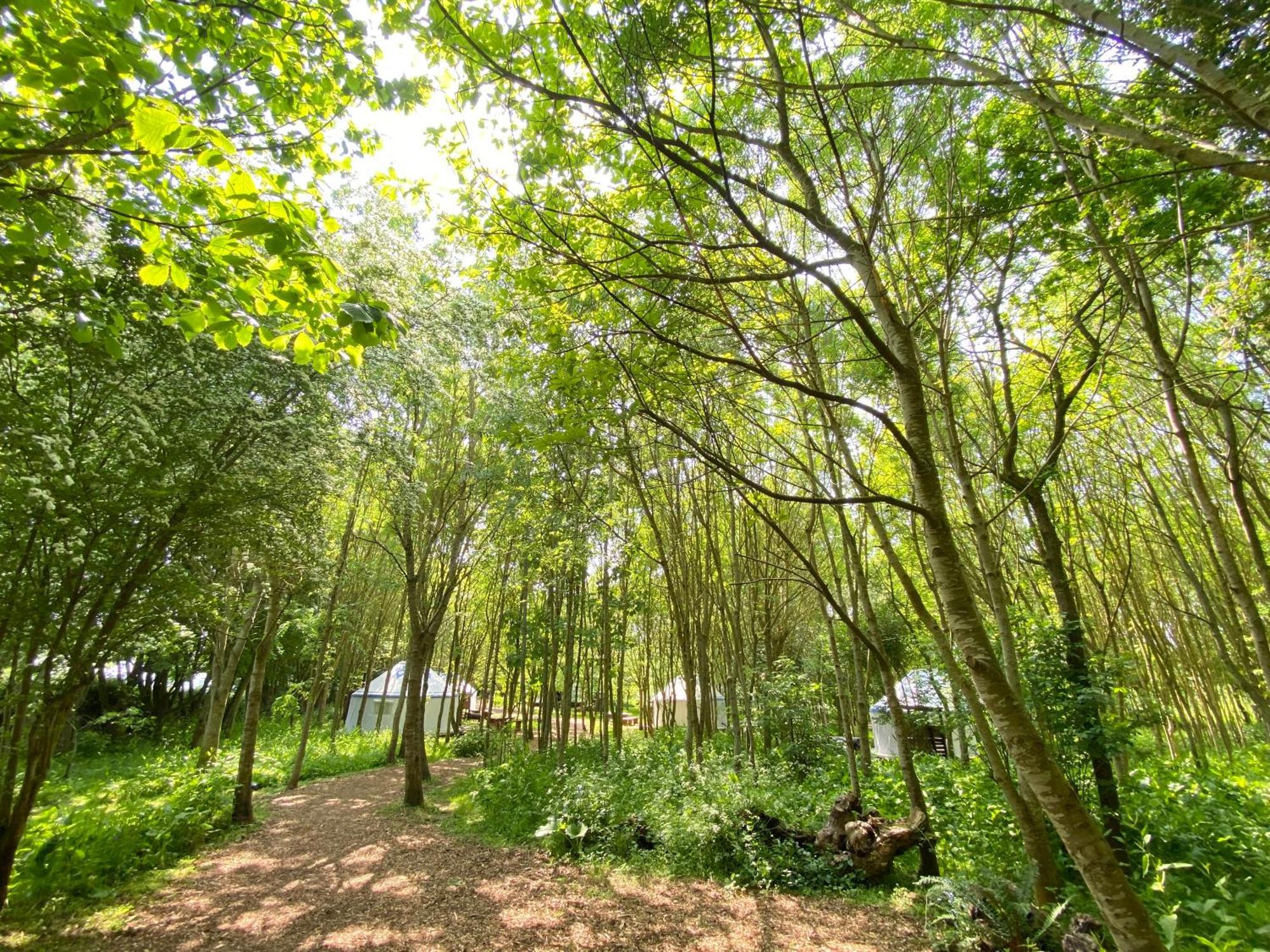 Silver Airstream Glamping & Rental Chichester Kültér fotó